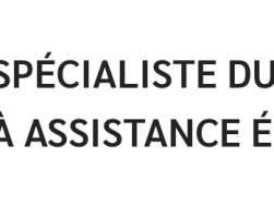 Details Image