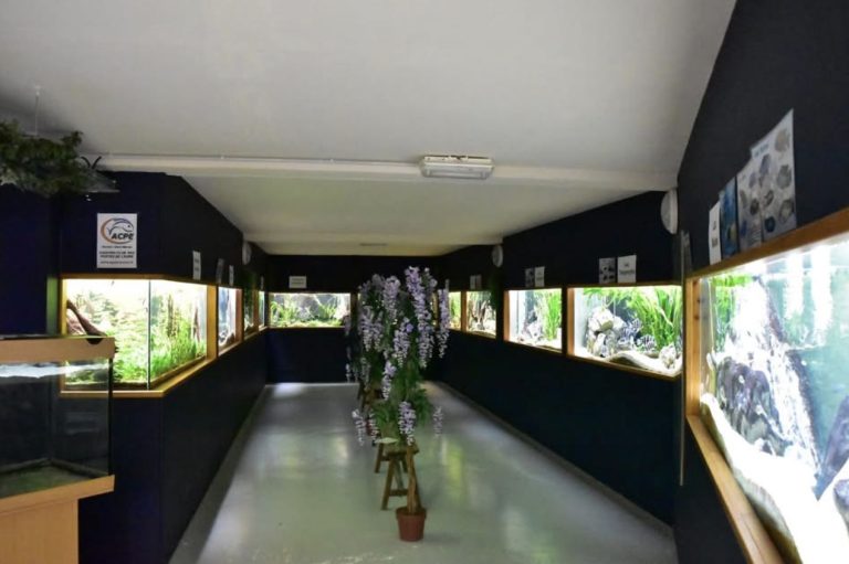 Image aquarium ivry