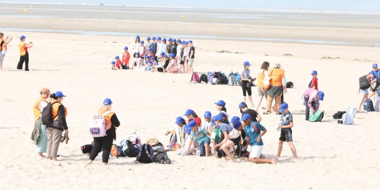 Groupe d'enfants et d'accompagnateurs sur une plage des Hauts-de-France dans le cadre d'un séjour organisé par l'association Vacances Ouvertes, soutenue par la Région.