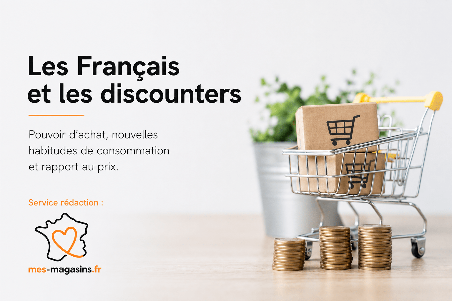 Les Français face aux discounters, au pouvoir d’achat et aux nouvelles habitudes de consommation