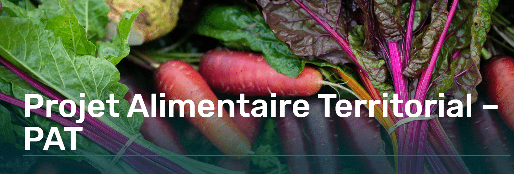 Projet Alimentaire Territorial (PAT) : légumes frais et alimentation locale